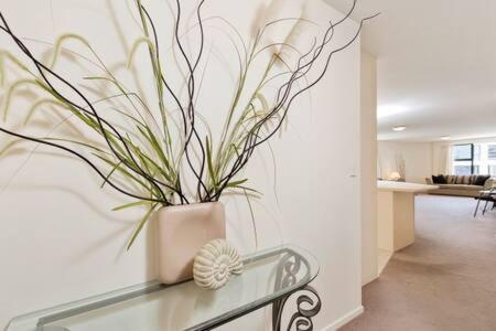 Oceanside Apartment Маунт-Маунгануй Екстер'єр фото